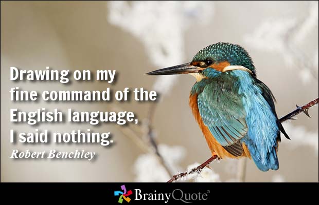Drawing on my fine command of the English language, I said nothing. Robert Benchley