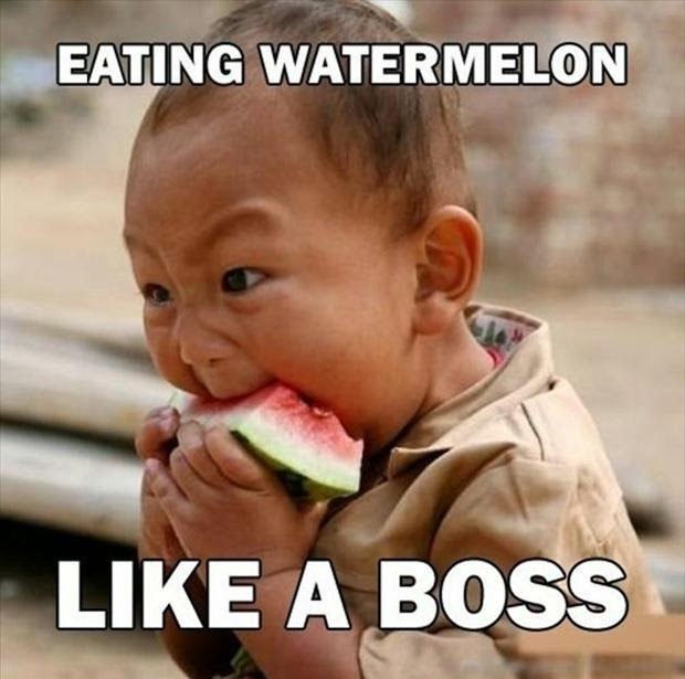 Eating Watermelon Like A Boss Funny Image