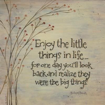 Enjoy the little things in life because one day you`ll look back and realize they were the big things. Kurt Vonnegut
