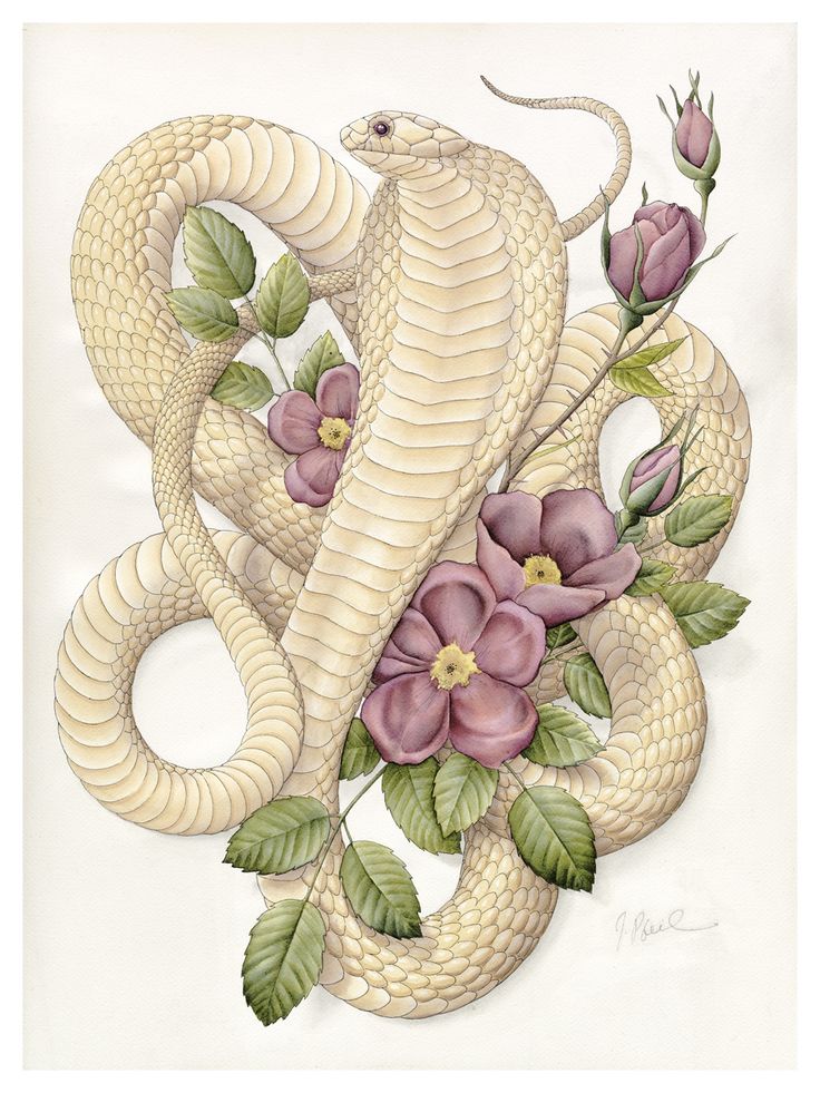 Fantastic Snake With Flowers Tattoo Design