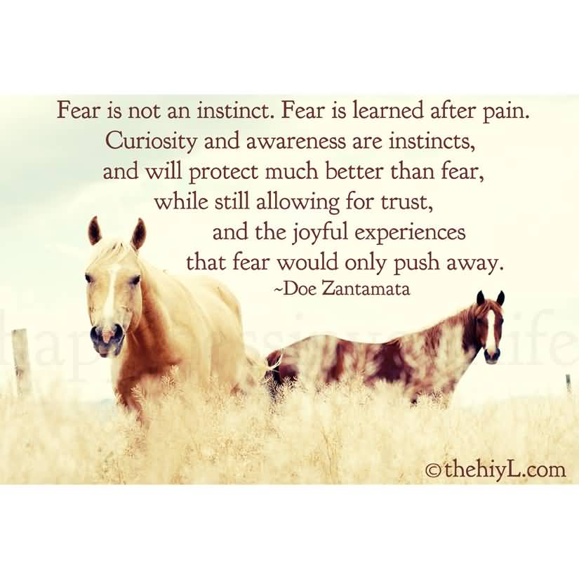 Fear is not an instinct. Fear is learned after pain. Curiosity and awareness are instincts, and will protect much better than fear, while still allowing for trust, and the … Doe ZANTAMATA