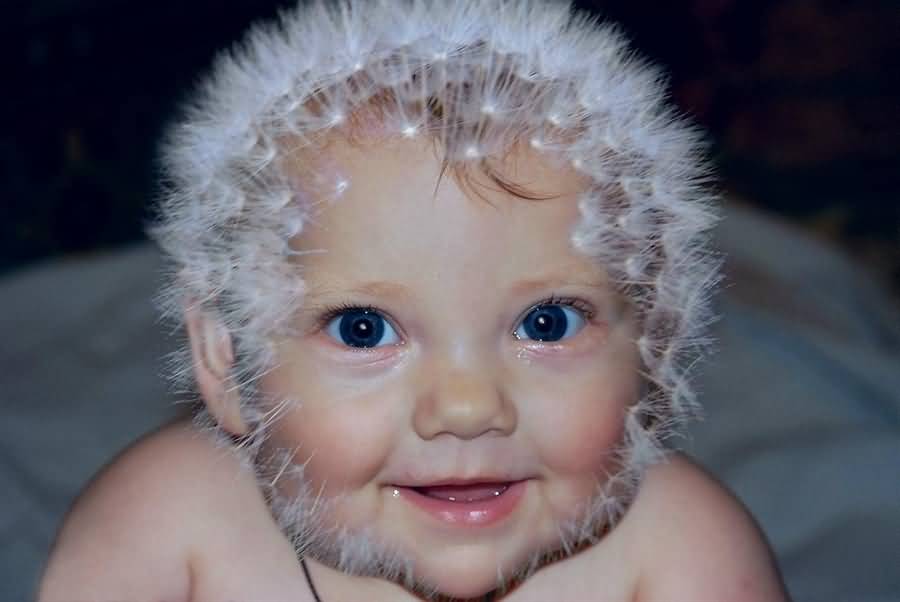 Funny Baby Dandelion Picture