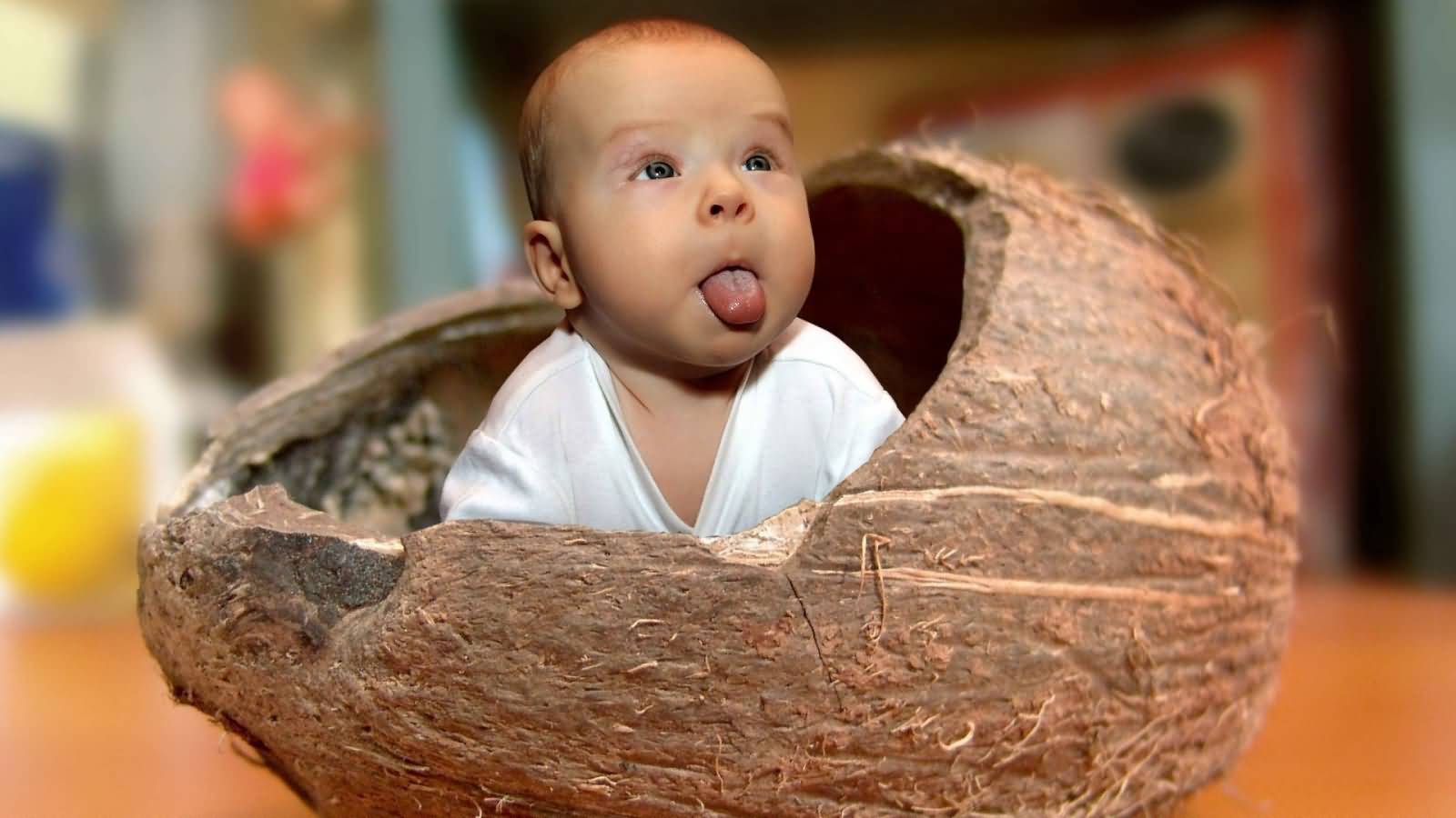 Funny Baby In Coconut Picture