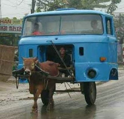 Funny Bull Cart Car Picture