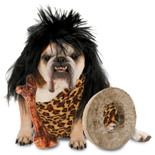 Funny Caveman Dog Costume