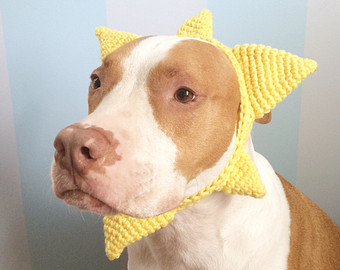 Funny Dog Sunflower Headband