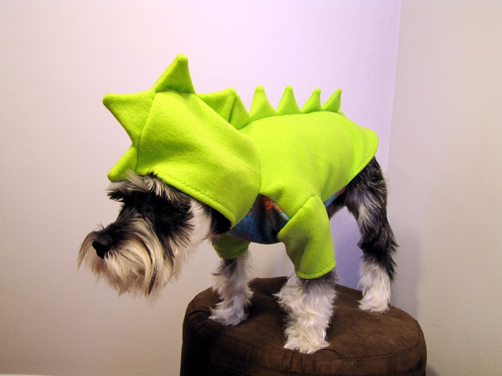 Funny Dragon Costume For Pet