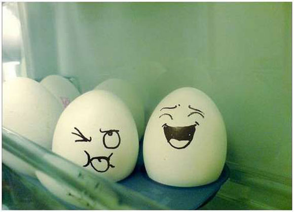 Funny Egg Faces Picture