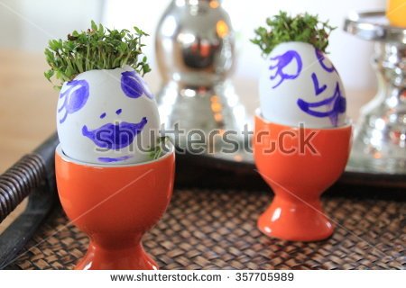 Funny Eggs With Hair