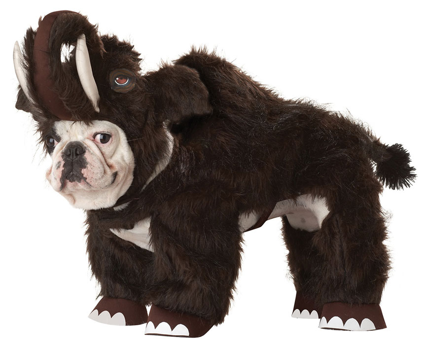 Funny Elephant Costume For Pet