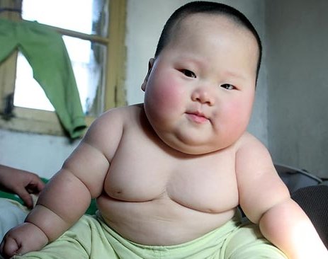 Funny Fat Baby Picture