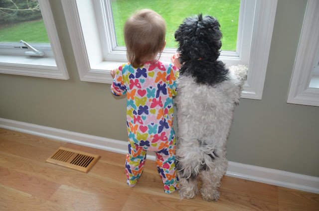 Funny Kid Standing With Dog Near Window