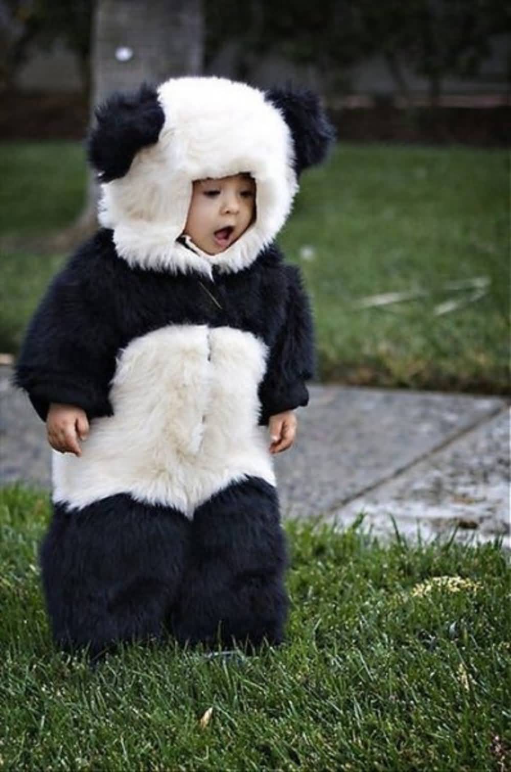 Funny Kid Wearing Panda Bear Costume