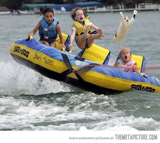 Funny Kids Cat Jumping FromRaft