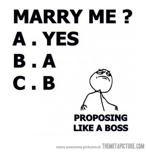 Funny Marriage Proposal Picture