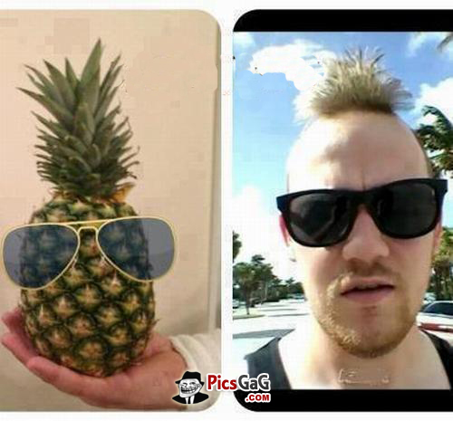 Funny Pineapple Haircut