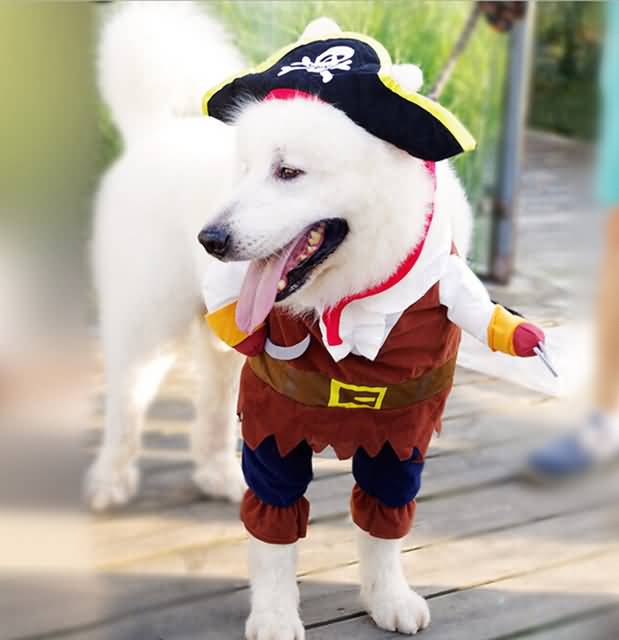 Funny Pirate Costume For Pet