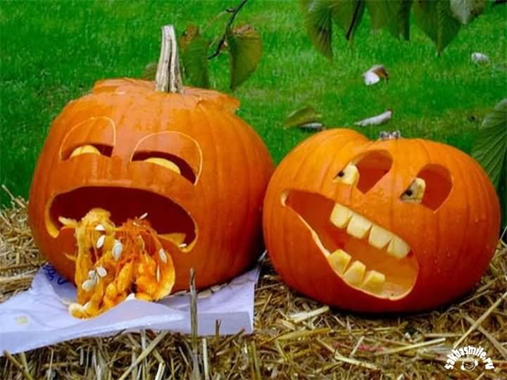 Funny Pumpkin  Vomiting Picture