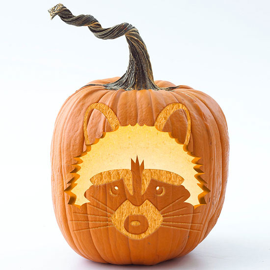 Funny Raccoon Pumpkin