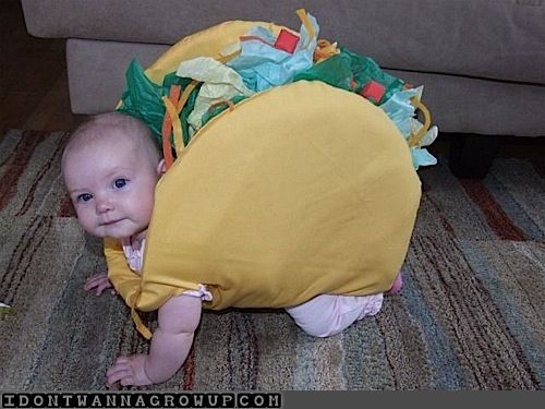 Funny Sandwich Baby Photo