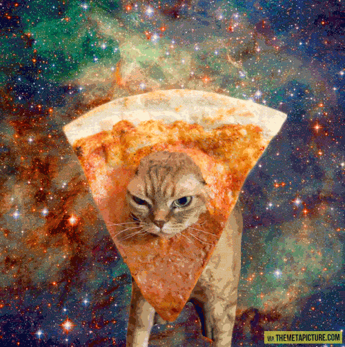 Funny Space Cat Pizza