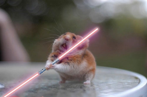 Funny Star War Hamster With Lighsaber Picture