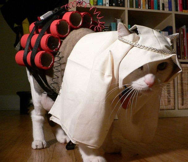 Funny Terrorist Pet Costume