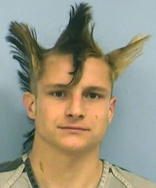 Funny Wolverine Haircut Picture