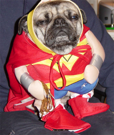 Funny Wonderwoman Costume For Pet