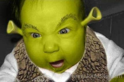 Funny Yoda Baby Photo