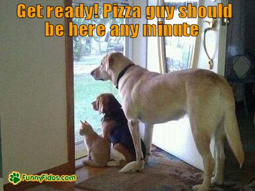 Get Ready Pizza Guy Should Be Here Any Minute Funny Picture
