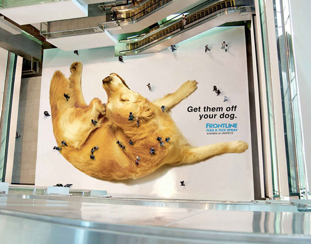 Get Them Off Your Dog Funny Advertisement Poster