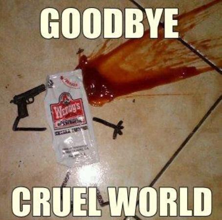 Goodbye Cruel World Funny Suicide By Ketchup