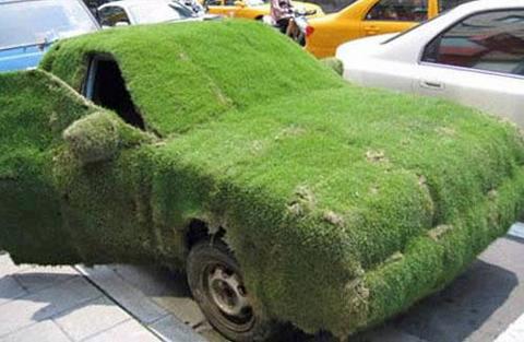 Green Grass Organic Funny Car