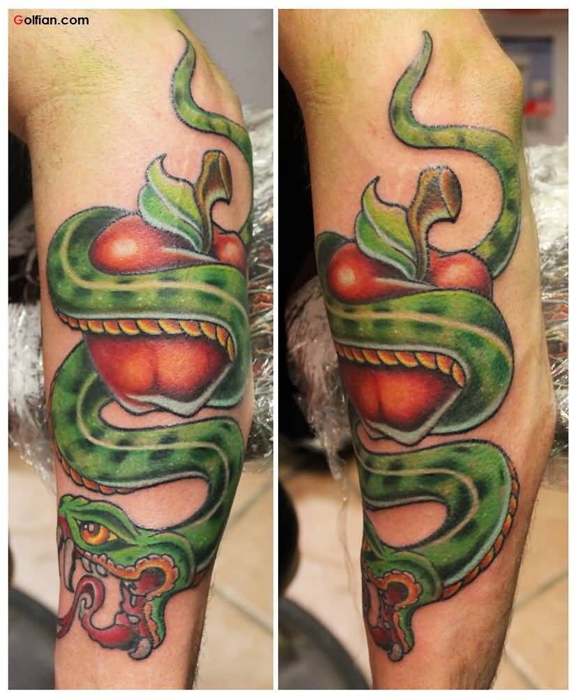Green Ink Snake With Apple Tattoo Design For Sleeve