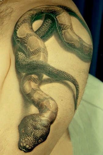 Grey Ink Realistic Snake Tattoo On Left Half Sleeve