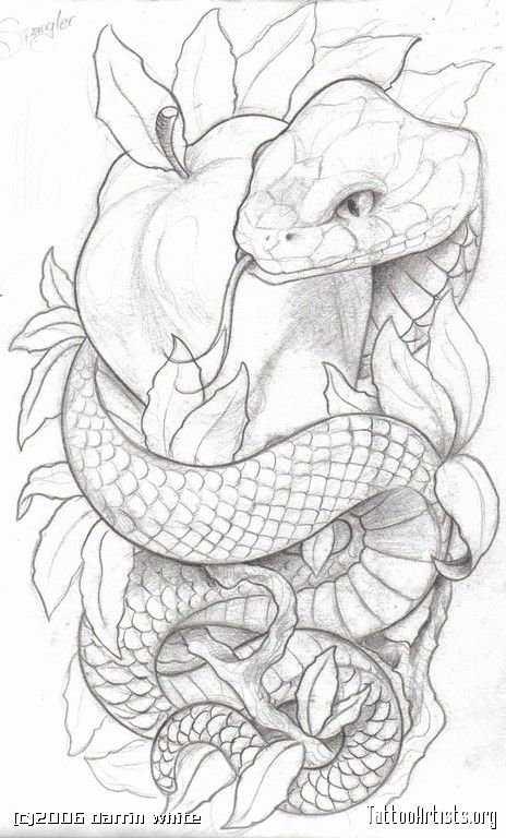 Grey Ink Snake With Apple Tattoo Design