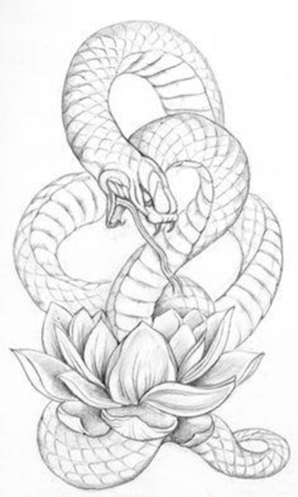 Grey Ink Snake With Lotus Flower Tattoo Design