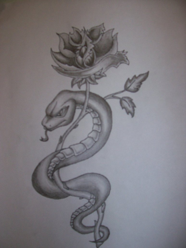 Grey Ink Snake With Rose Tattoo Design