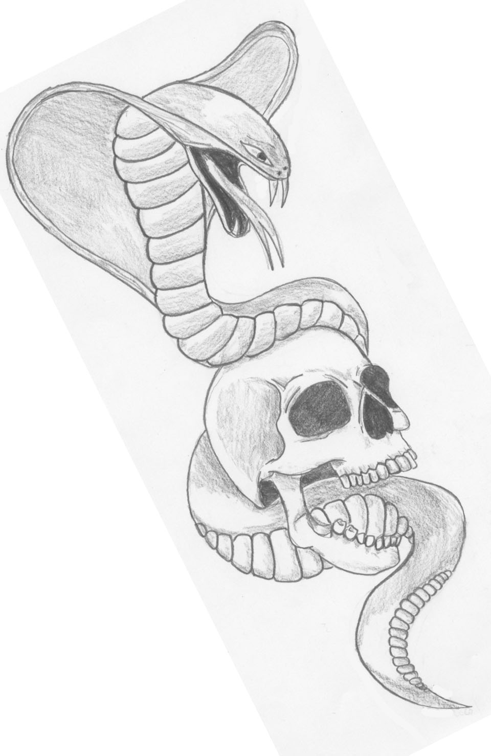 Grey Ink Snake With Skull Tattoo Design