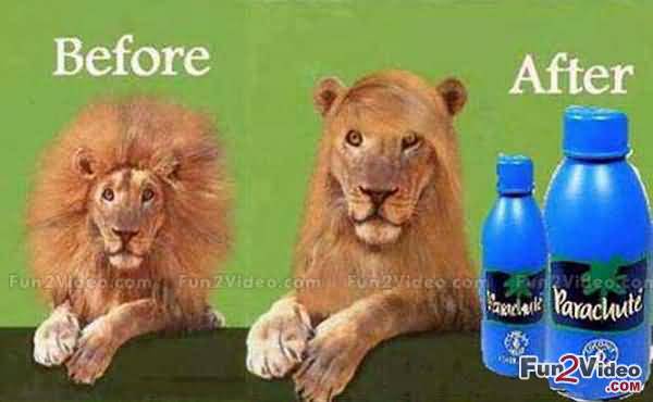 Hair Oil Before And After Funny Advertisement