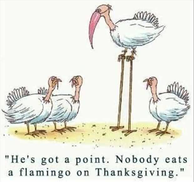 He’s Got A Point. Nobody Eats A Flamingo On Thanksgiving Funny Picture