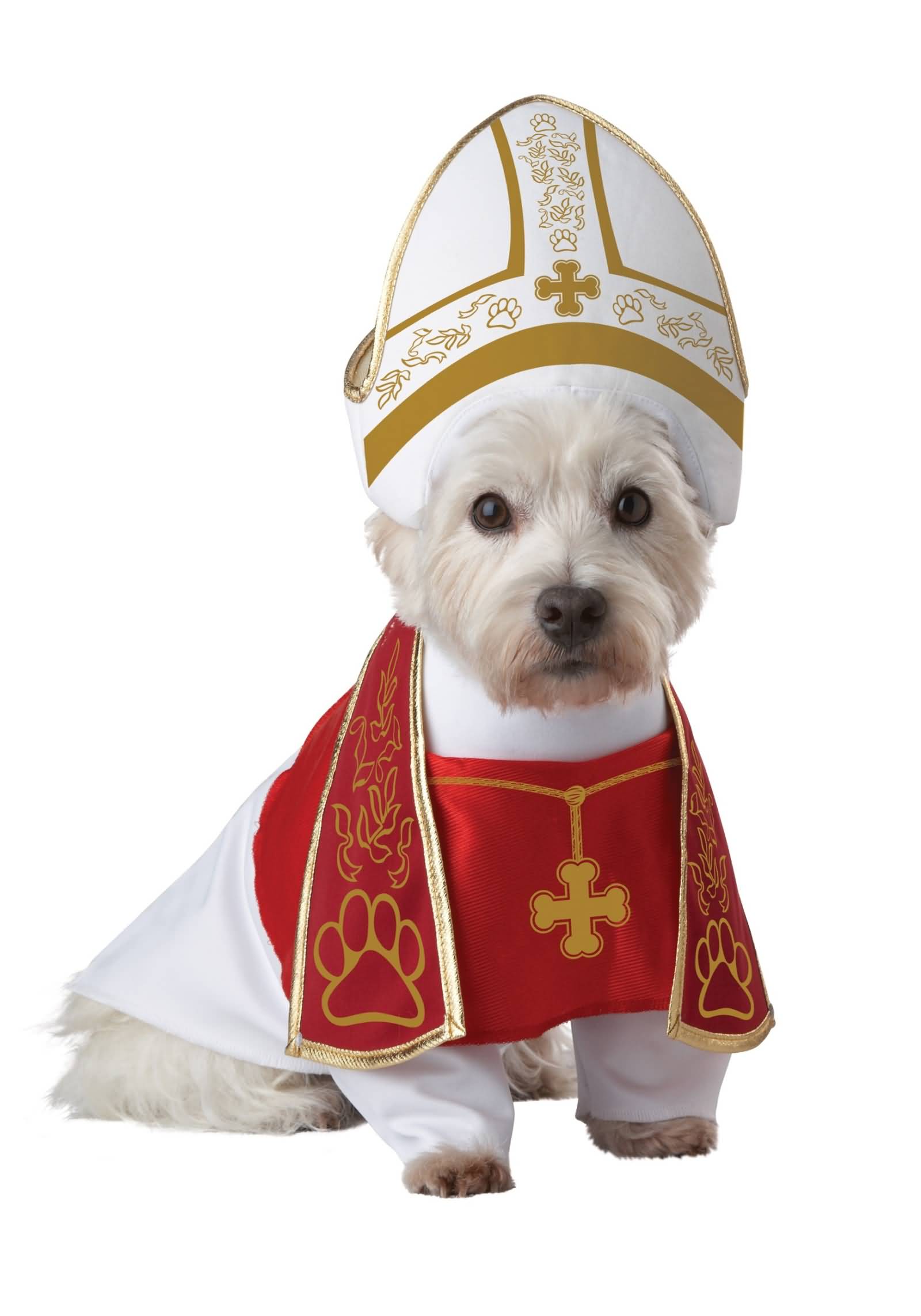 Holy Hound Funny Pet Costume