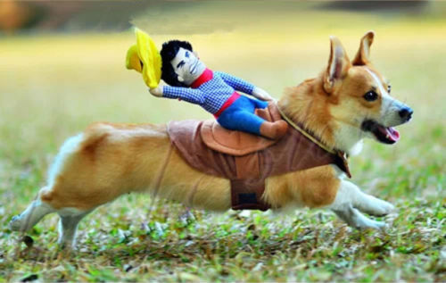 Horse And Rider Funny Pet Costume