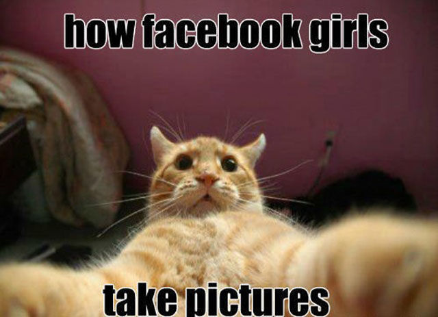 How Facebook Girls Take Pictures Funny Animal Picture