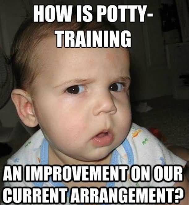 How Is Potty Training Funny Meme