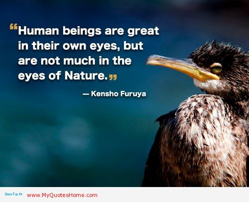 Human Beings Are Great In Their Own Eyes, But Are Not Much In The Eyes Of Nature. Kensho Furuya