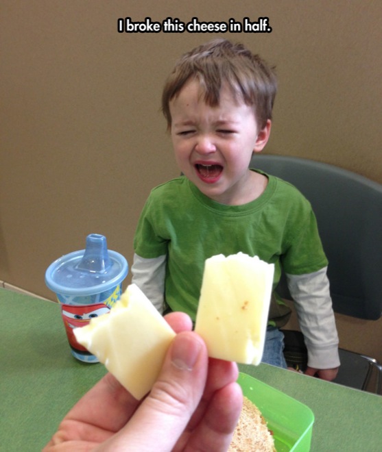 I Broke This Cheese In Half Funny Crying Kid Picture