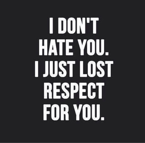I Don't Hate You I Just Lost Respect For You