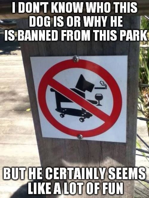 I Don’t Know Who This Dog Is Or Why He Is Banned From This Park But He Certainly Seems Like A Lot Of Fun Funny Sign